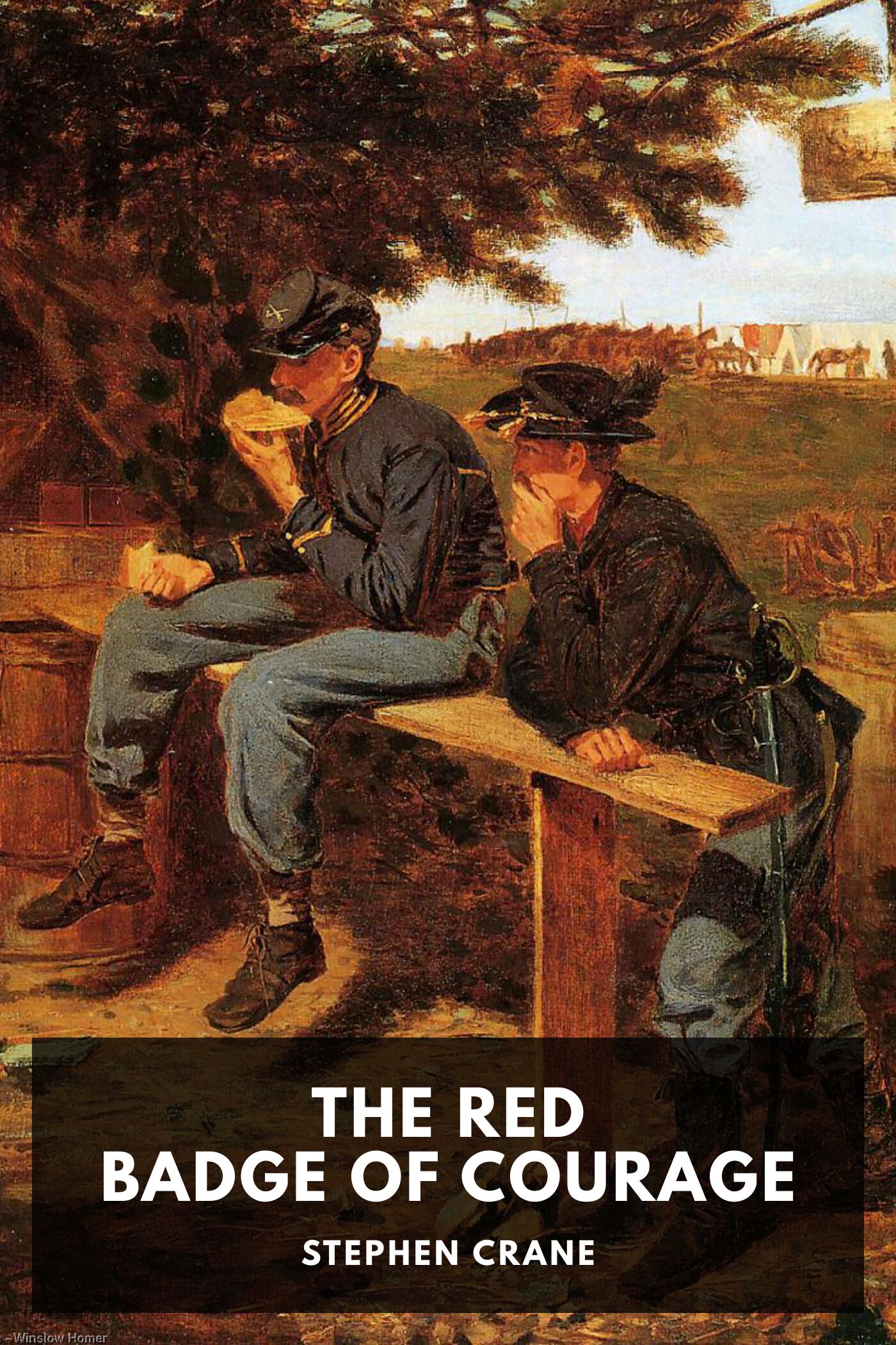 The Red Badge of Courage: An Episode of the American Civil War