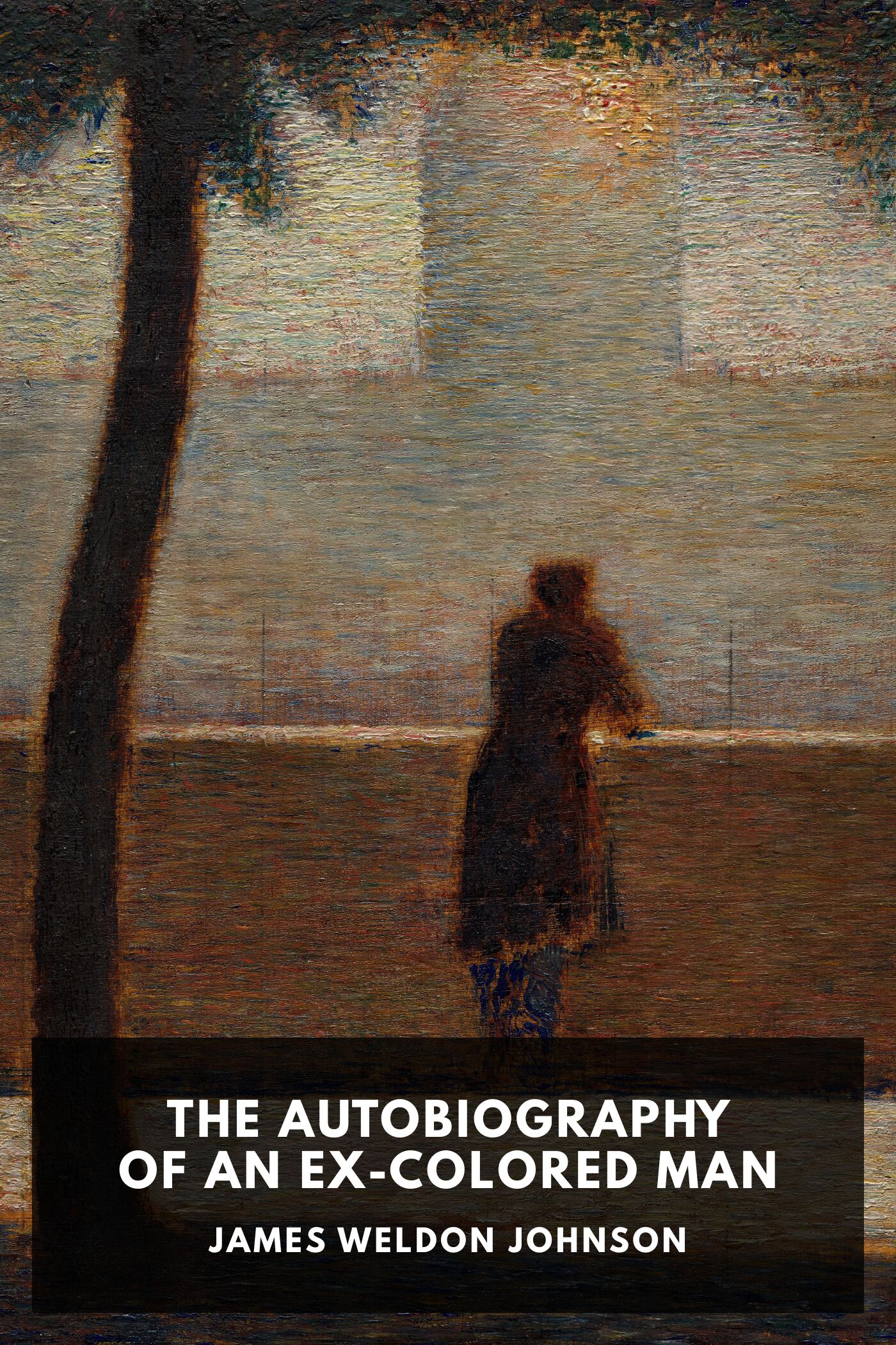 The Autobiography of an Ex-Colored Man