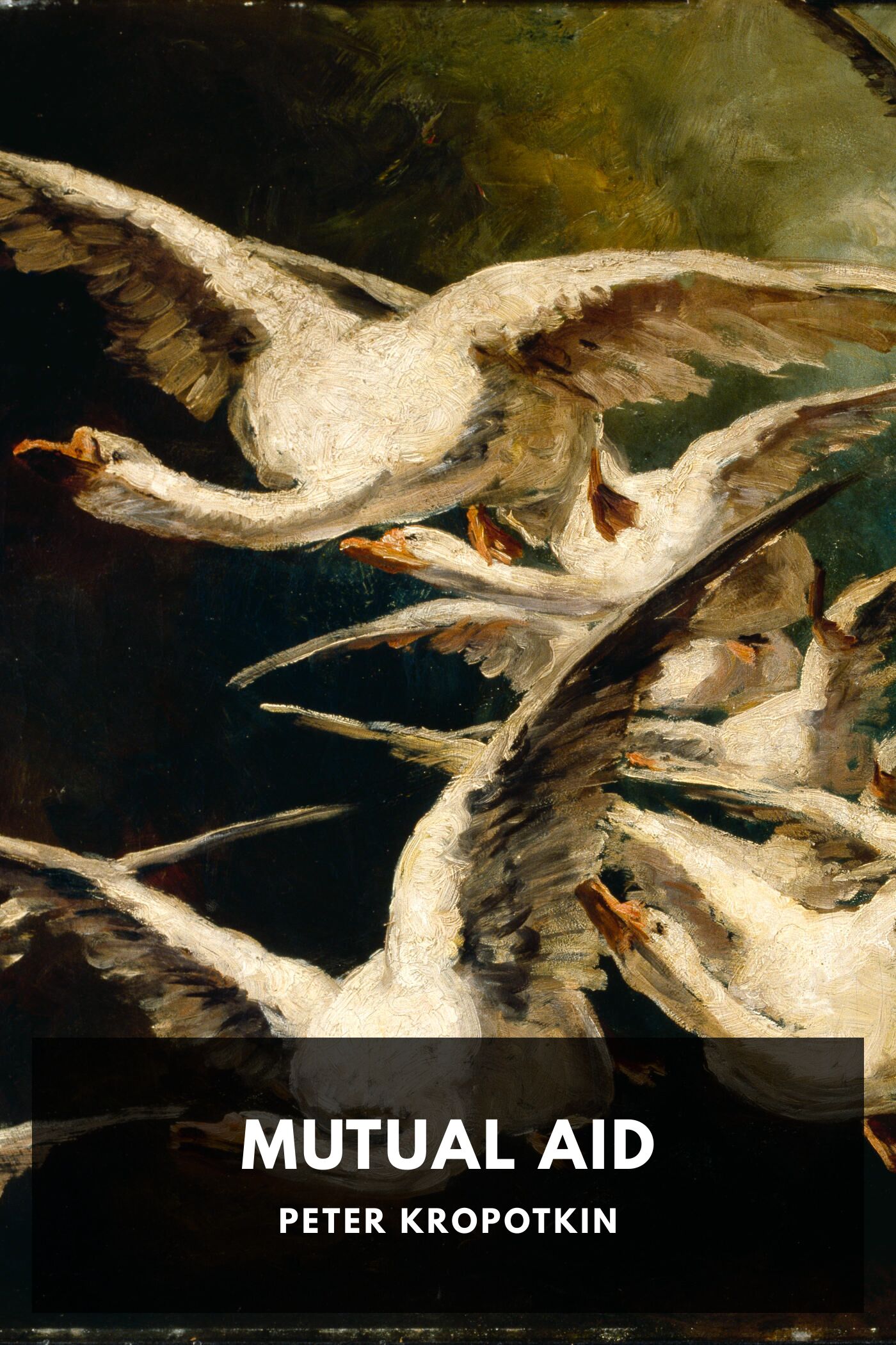 Mutual Aid: A Factor of Evolution