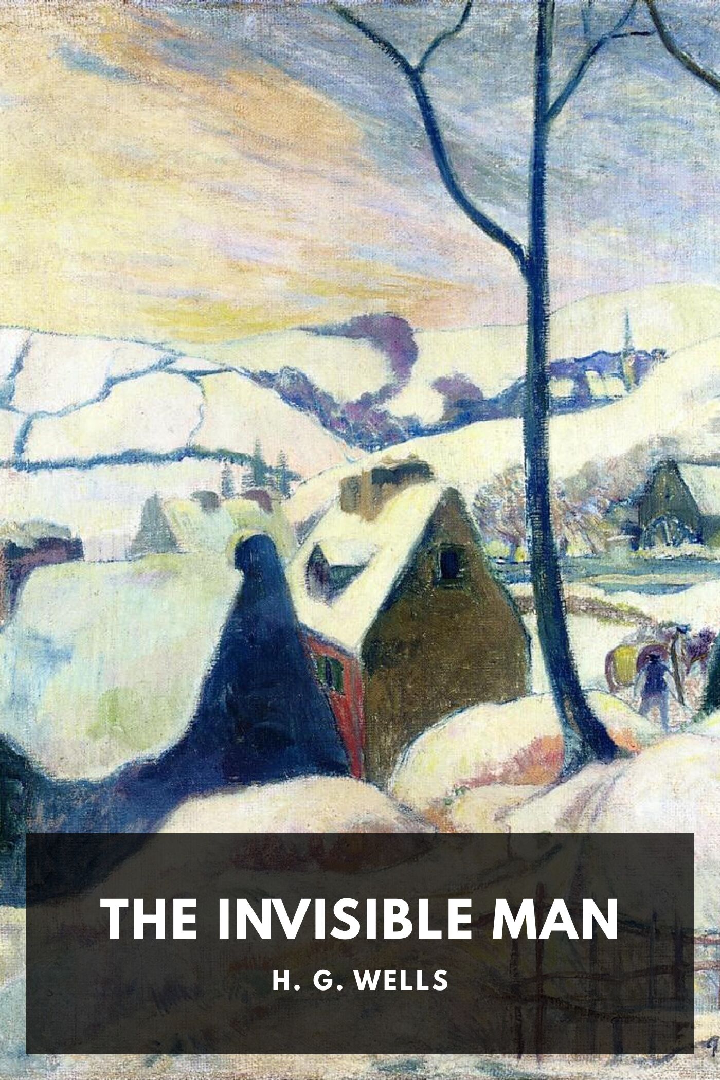 The Invisible Man: A Grotesque Romance